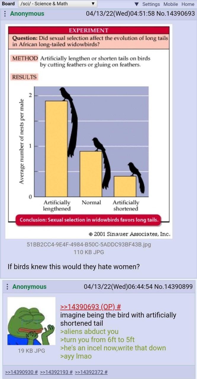 Math У У Settings Mobile Home Anonymous 04/13/22(Wed)04:51:58 No.14390693 EXPERIMENT Question: Did sexual selection affect the evolution of long tails in African long-tailed widowbirds? METHOD Artific