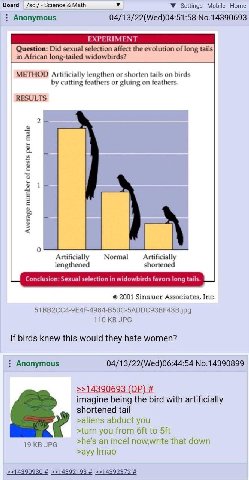Math У У Settings Mobile Home Anonymous 04/13/22(Wed)04:51:58 No.14390693 EXPERIMENT Question: Did sexual selection affect the evolution of long tails in African long-tailed widowbirds? METHOD Artific