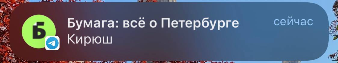 спишь?)