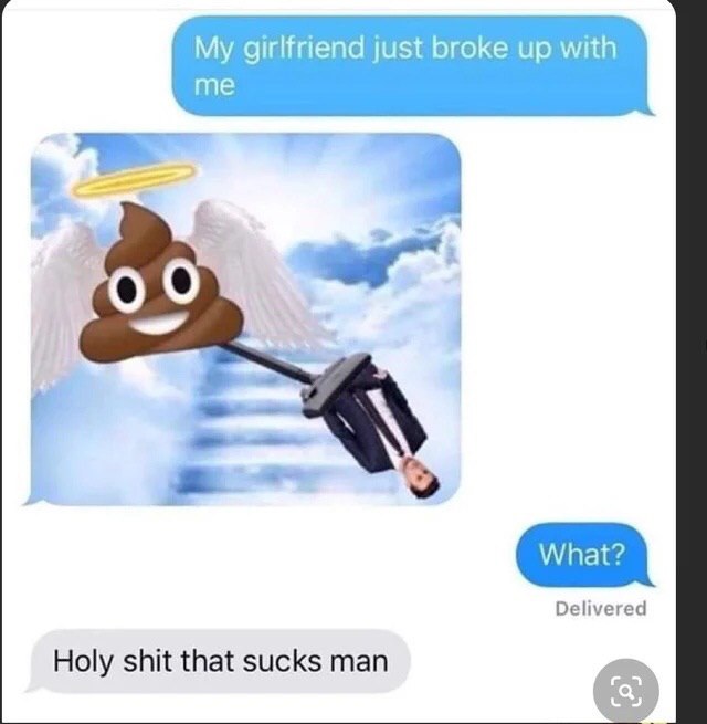 My girlfriend just broke up with me а Delivered Holy shit that sucks man