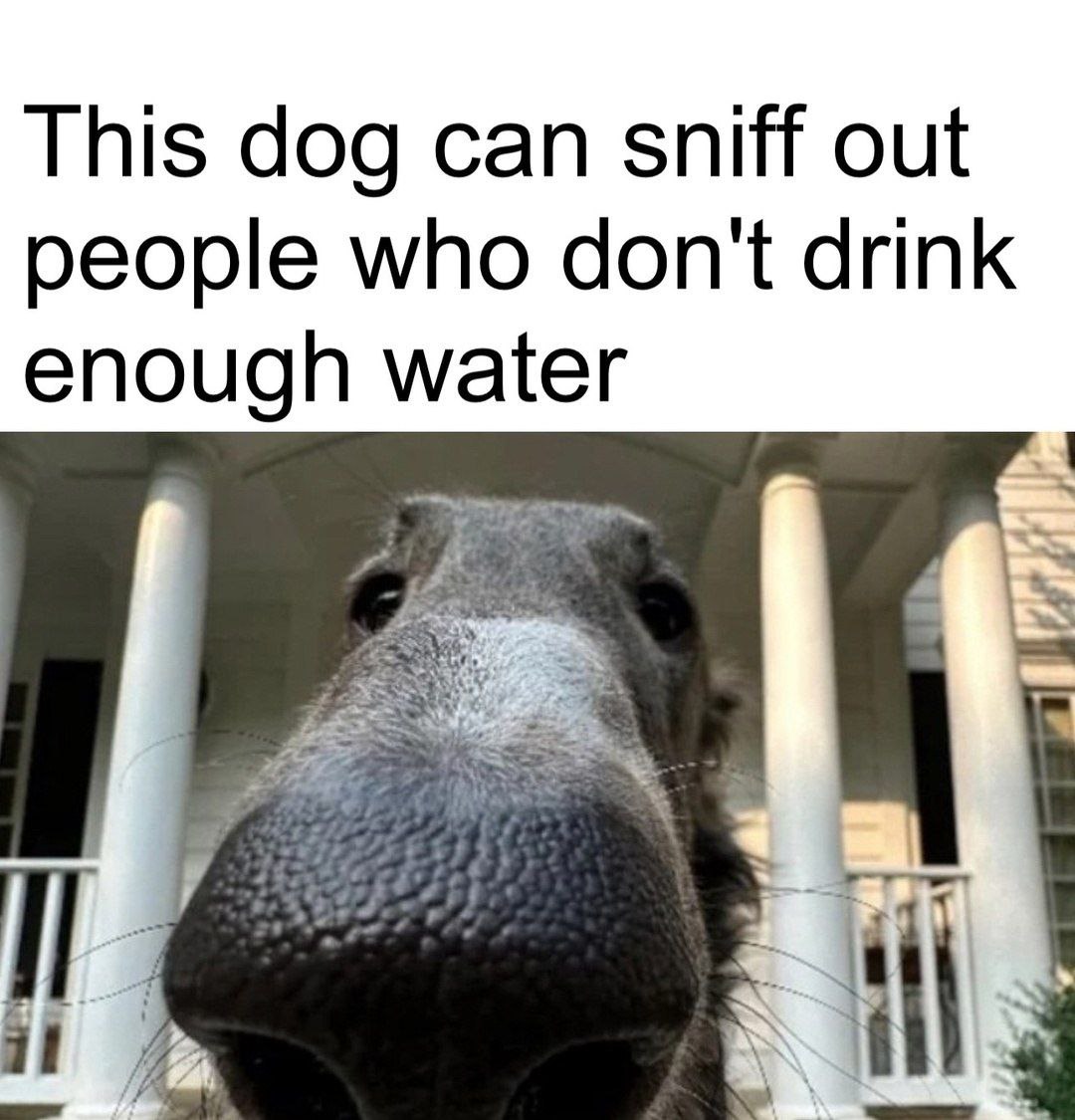 This dog can sniff out people who don't drink enough water