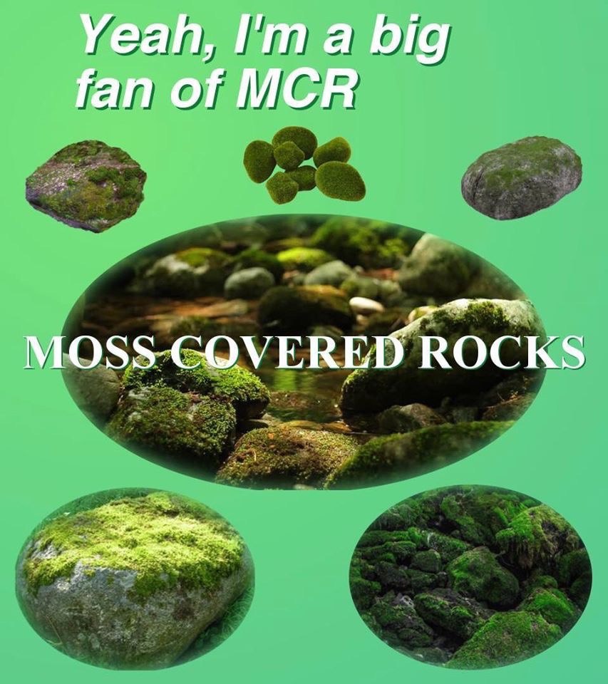 Yeah, I'ma big fan of MCR СОУЕВЕБ ROCKS