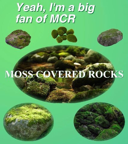 Yeah, I'ma big fan of MCR СОУЕВЕБ ROCKS