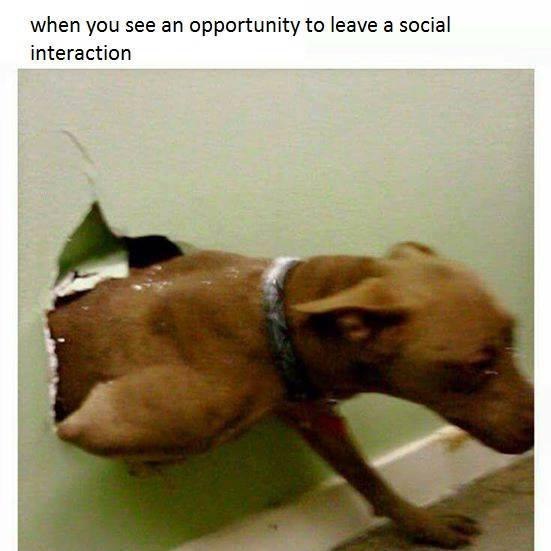 when you see an opportunity to leave a social interaction