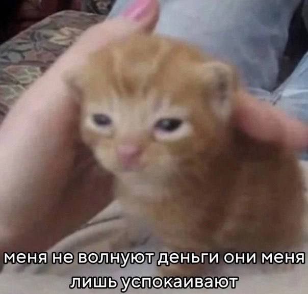 меня не волнуют деньги они меня лишь успокаивают