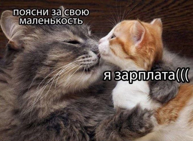 ПОЯСНИ за свою маленькость и я зарплата(((