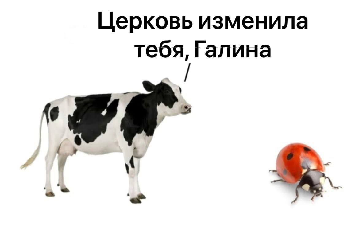Церковь изменила тебя, Галина ‘oer