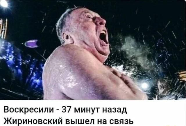 Воскресили 37 минут назад Жириновский вышел на связь