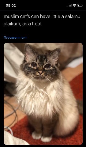 перевод