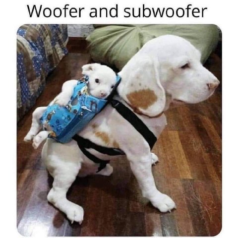 Woofer and subwoofer
