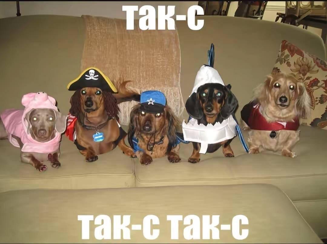 Tak-