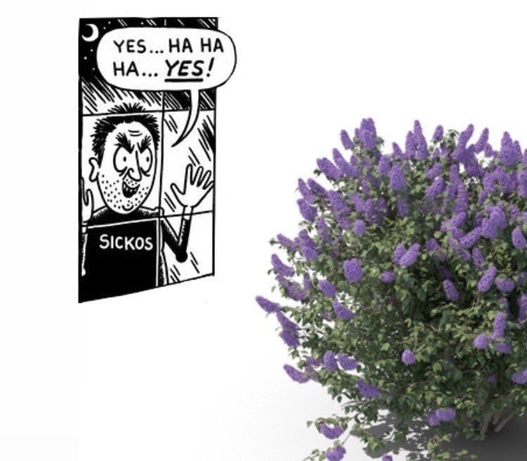 НА НА... YES!