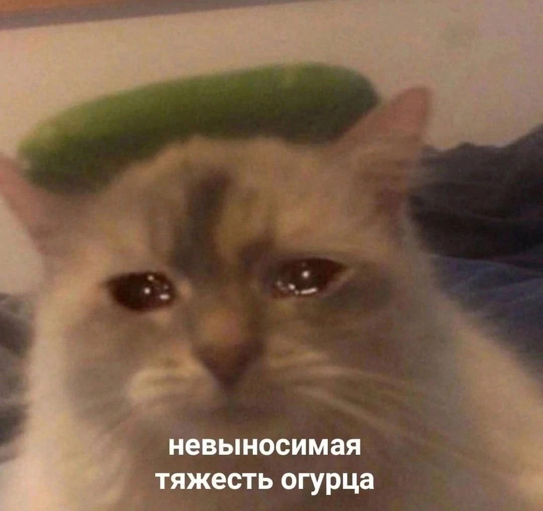 невыносимая тяжесть огурца