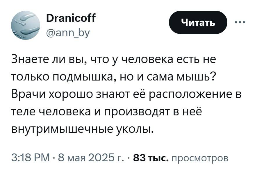 Огатсой [Читать @ann_by Знаете ли вы, что у человека есть не только подмышкКа, но и сама мышь? Врачи хорошо знают её расположение в теле человека и производят в нее внутримышечные уколы. 3:18 8 мая 20