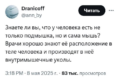 Огатсой [Читать @ann_by Знаете ли вы, что у человека есть не только подмышкКа, но и сама мышь? Врачи хорошо знают её расположение в теле человека и производят в нее внутримышечные уколы. 3:18 8 мая 20
