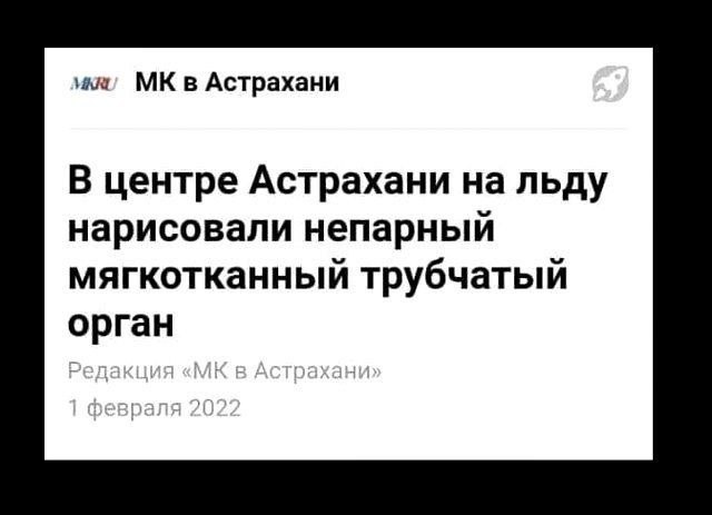 в Астрахани В центре Астрахани на льду нарисовали непарный мягкотканный трубчатый орган