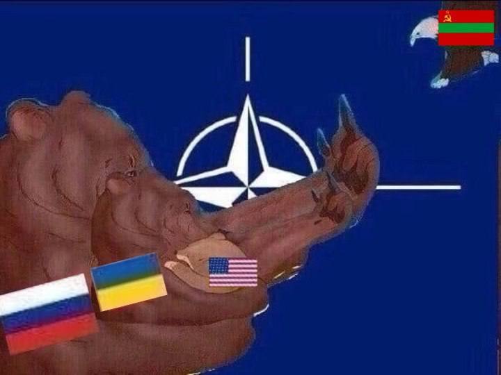 AS