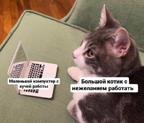 Маленький компуктер с Большой котик с В кучей работы нежеланием работать