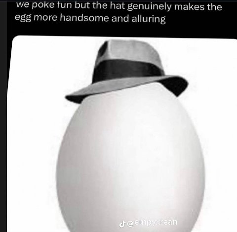 we роке fun but the hat genuinely makes the egg more handsome and alluring