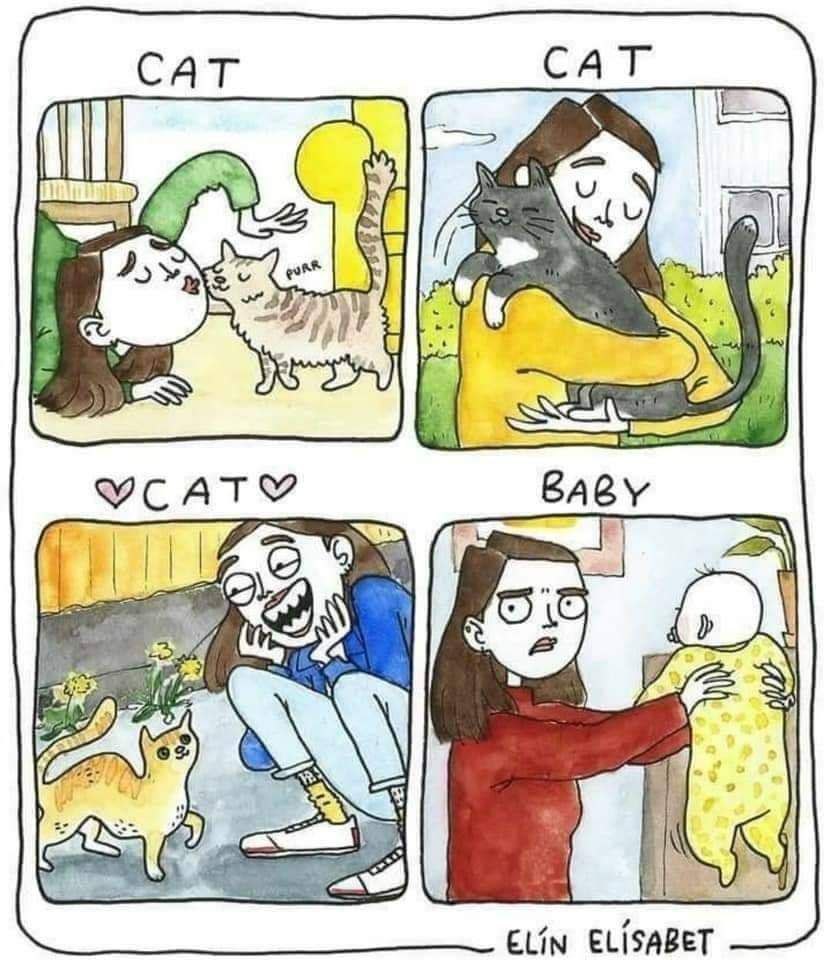 CAT CAT (ili YCATY BABY a a ELin ELISABET