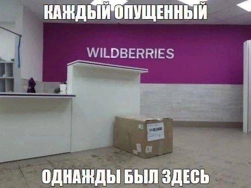 ОПУЩЕННЫЙ BERRIES ОДНАЖДЫ БЫЛ ЗДЕСЬ