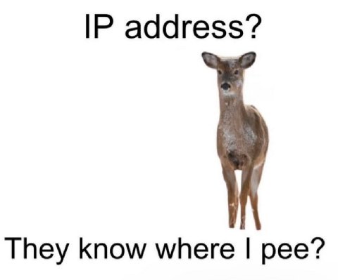 address? They know where pee?