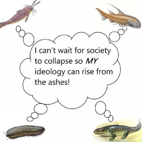 can't wait for society to collapse so MY ideology can rise from the ashes!