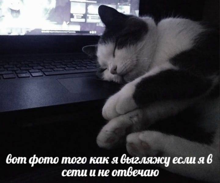 вот фото того как я выгляжу если я в сети и не отвечаю