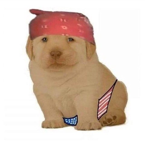 мем