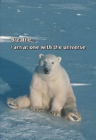 rea lam at one with the universe