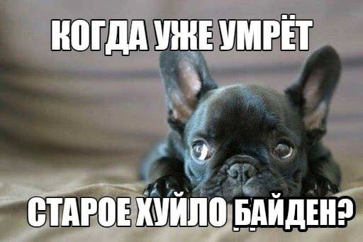 КОГДА УНЕ УМРЕТ СТАРОЕХУЙЛО