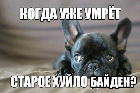 КОГДА УНЕ УМРЕТ СТАРОЕХУЙЛО