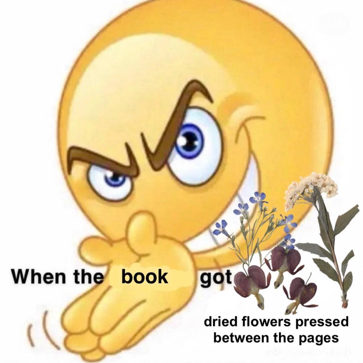 When dried flowers pressed between the pages