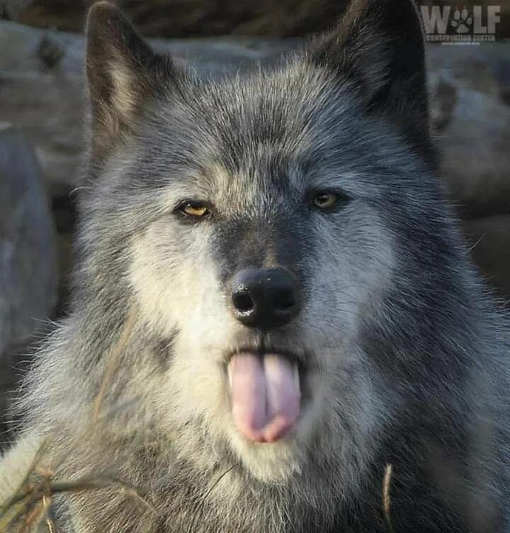 1 we