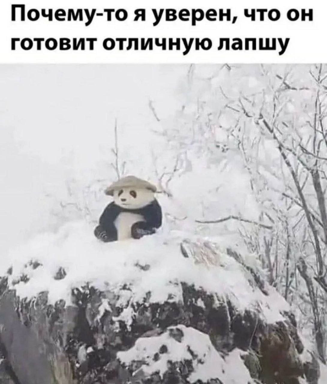 Почему-то я уверен, что он готовит отличную лапшу i KIA у