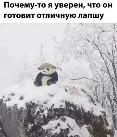 Почему-то я уверен, что он готовит отличную лапшу i KIA у