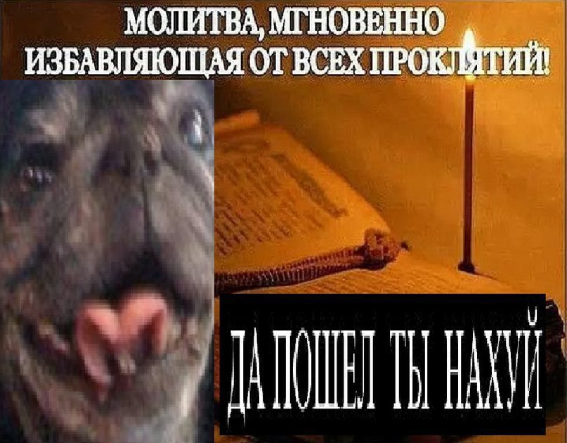 МОЛИТВА, МГНОВЕННО ИЗБАВЛЯЮЩАЯ ОТ ВСЕХ ПРОК