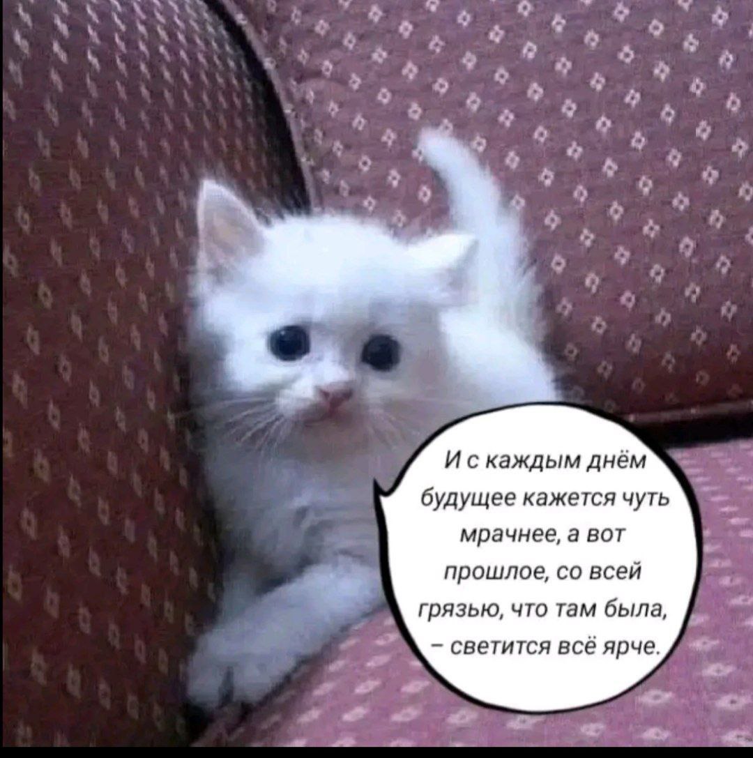 Искаждым днём будущее кажется чуть мрачнее, а вот прошлое, всей грязью, что там была, светится всё ярче.