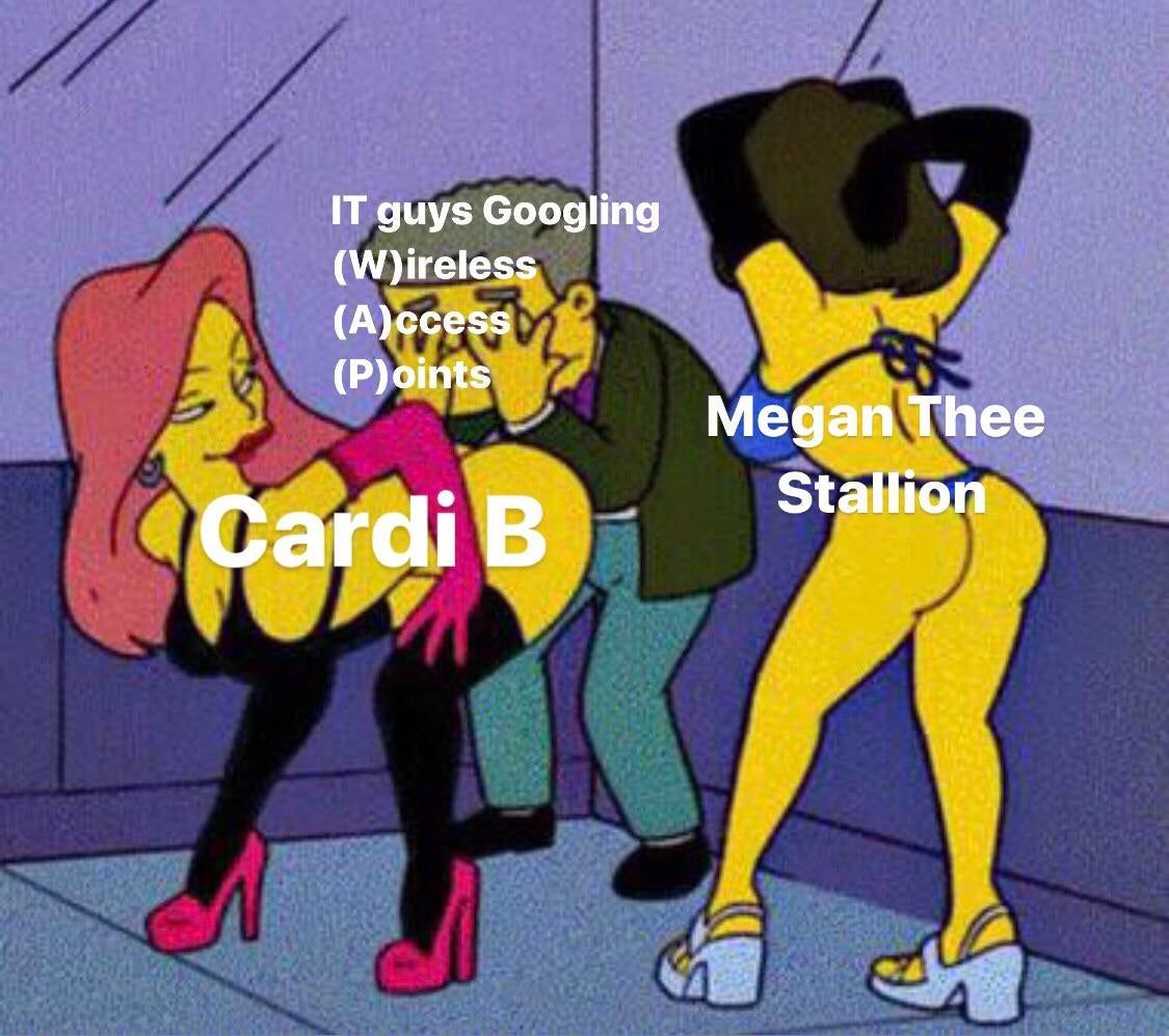 IT guys Googling (W)ireless (А)ссе$$ (P)oints Megan Thee Stallion В