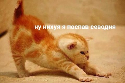 ну нихуя я поспав севодня