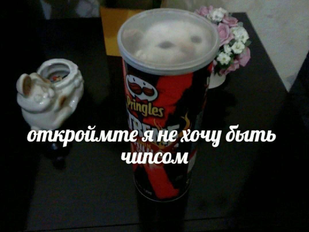 откроймте я не хочу