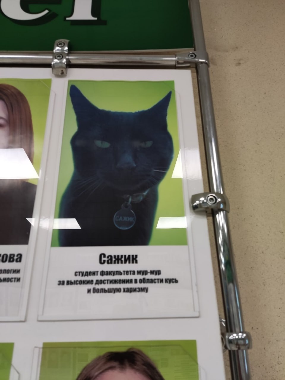ова Сажик студент факультета мур-мур за высокие достижения в области кусь у и большую харизму on