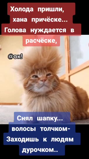Хх а пришли | ана причёске a олова нуждается в волосы толчком- Заходишь к людям дурочком..