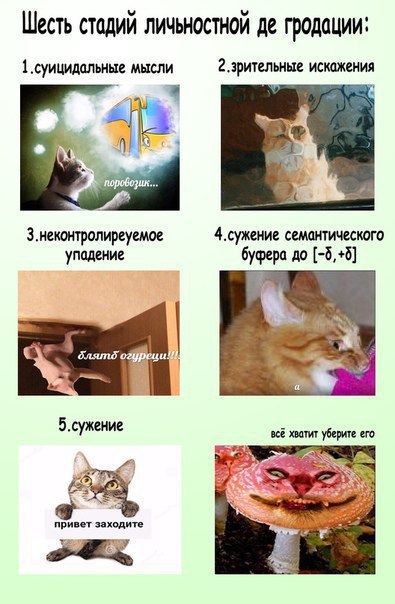 Шесть личьностной гродации: 1 мысли 4 2.зрительные 3.неконтролиреуемое 4.сужение семантического упадение [-5,+5] блятб 5.сужение всё хватит уберите его привет заходите 2. 7 8 4