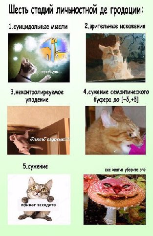 Шесть личьностной гродации: 1 мысли 4 2.зрительные 3.неконтролиреуемое 4.сужение семантического упадение [-5,+5] блятб 5.сужение всё хватит уберите его привет заходите 2. 7 8 4
