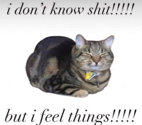 idont know but feel