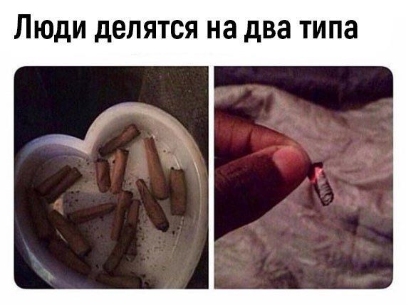 Люди делятся на два типа