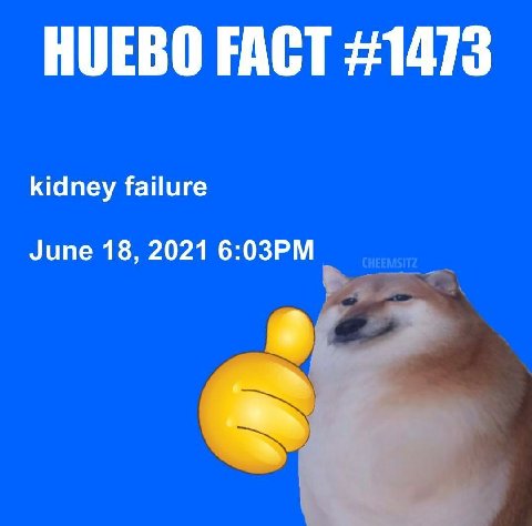 HUEBO FACT #1473 kidney failure June 18, 2021
