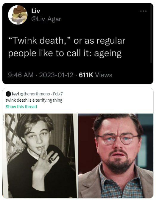 Liv “Twink death,” or as regular people like to call it: ageing 9:46 2023-01-12 Views @thenorthmens Feb 7 twink death is a terrifying thing