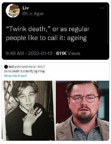 Liv “Twink death,” or as regular people like to call it: ageing 9:46 2023-01-12 Views @thenorthmens Feb 7 twink death is a terrifying thing